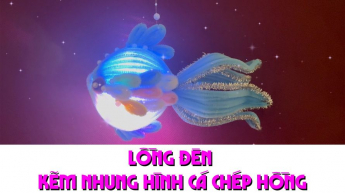 Lồng đèn kẽm nhung hình cá chép hồng