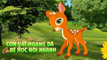Dạy Tên Các Con Vật Hoang Dã Cho Bé Học Nói Nhanh