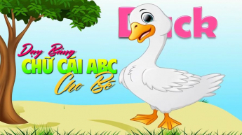 Dạy Bảng Chữ Cái Abc Cho Bé