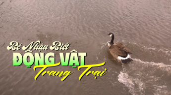 Bé Nhận Biết Động Vật Trang Trại