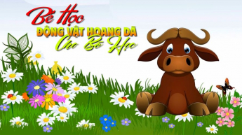 Bé Học Động Vật Hoang Dã Cho Bé Học