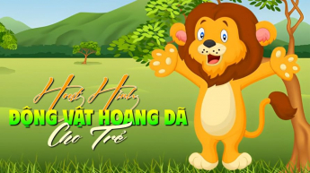 Hoạt Hình Động Vật Hoang Dã Cho Trẻ