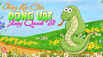 Tiếng Kêu Của Động Vật Xung Quanh Bé