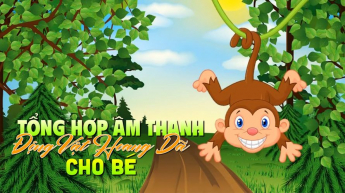 Tổng Hợp Âm Thanh Động Vật Hoang Dã Cho Bé
